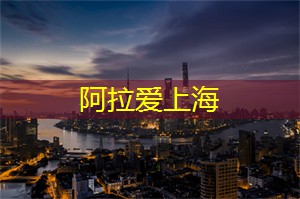 参与上海的最新欢乐嘉年华